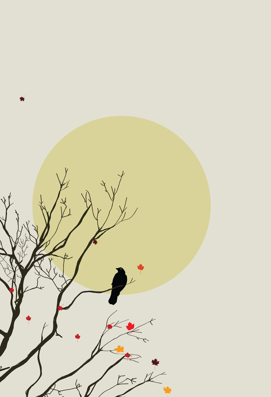 Bird in tree with sun and fall leaves.